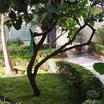 Angeli Ρώμη